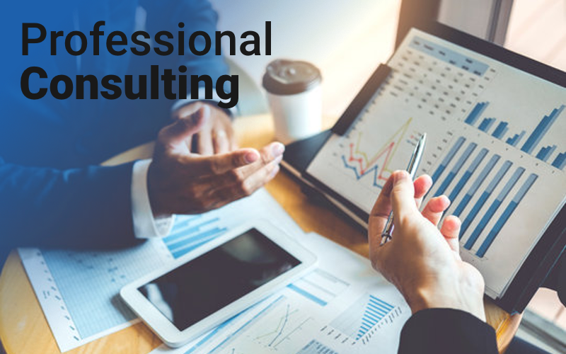 Professional Consulting